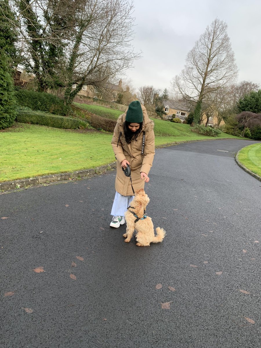 Mani walking a dog outdoors near Gateshead